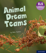 Essential Phonic Readers Animal Dream Teams Look Inside